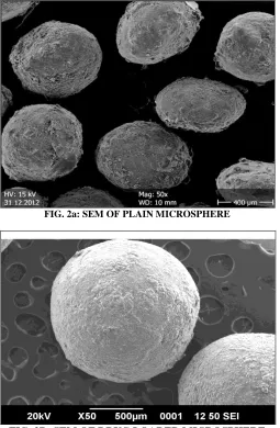 FIG. 2a: SEM OF PLAIN MICROSPHERE  