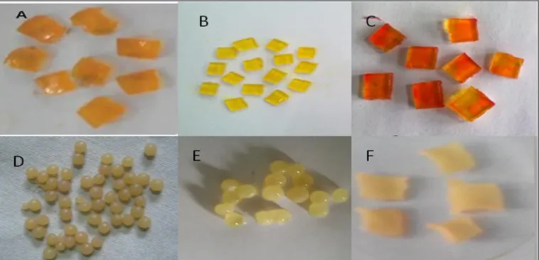 FIG.1:  IMMOBILIZATION OF ENZYME USING DIFFERENT IMMOBILIZATION TECHNIQUES: A. GELATIN, B