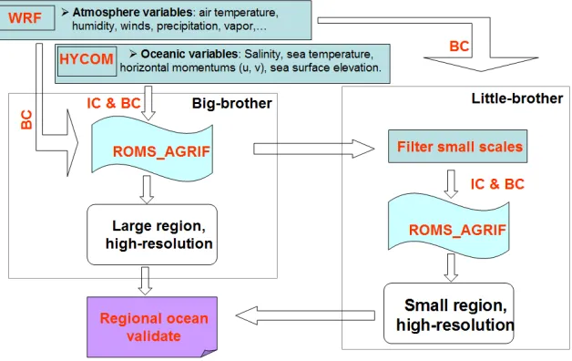 Figure 1: Schematic diagram of the Big-Brother Experiment 