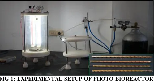 FIG 1: EXPERIMENTAL SETUP OF PHOTO BIOREACTOR  WITH MIXING CHAMBER [INSIDE THE BOX: TRIANGULAR ARRANGEMENTS OF THE LIGHTS FOR BETTER PENETRATION OF LIGHT ON ALL SIDES INSIDE THE REACTOR]