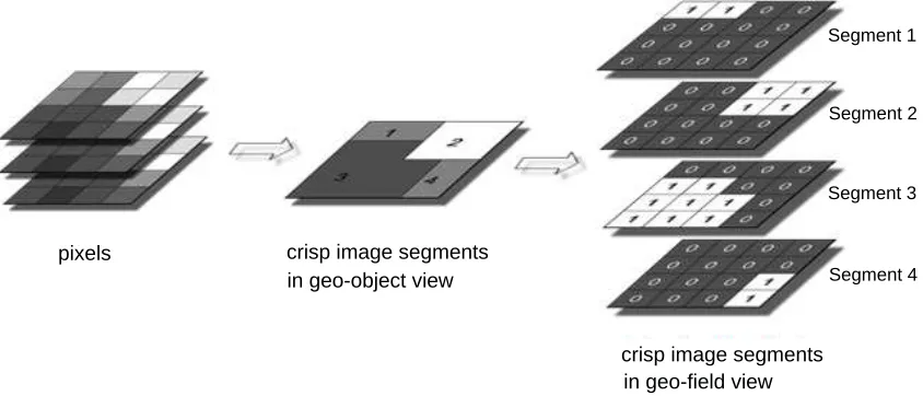 Figure 1. Spatial or crisp image segmentation produces one single image composed of discrete image objects with clearlydeﬁned boundaries