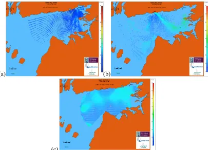 Figure 2 Surface currents observed by CODAR ((a) radial surface vector field from station C1, (b) radial surface vector field from station C2, (c) total surface vector field after combination) 
