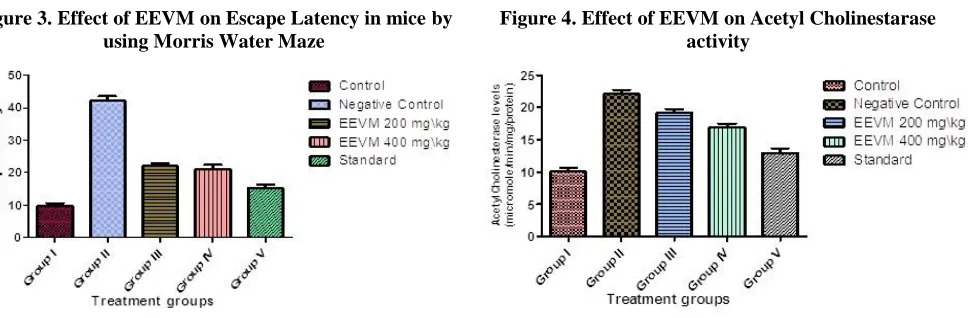 Figure 3. Effect of EEVM on Escape Latency in mice by using Morris Water Maze 
