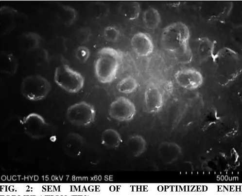 TABLE 2: COMPARISON OF PHYSICAL AND PERMEABILITY PARAMETERS OF ENEH (FE2) FORMULATION WITH PURE DRUG AND NIOSOMES Permeability parameters Pure drug Niosomes FE2 