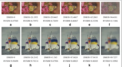 Fig. 7 Two group of images and their corresponding subjective/objective scores.g a–f The original image monarch and five noise-distorted images.–l The original image sailing2 and five blur-distorted images