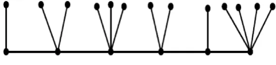 Figure 1. A thorn graph of P6