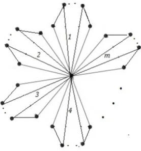 Figure 1. Kulli path windmill graph P (m)n+1.