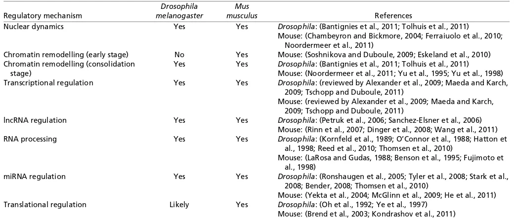 Table 1. Summary of the main molecular mechanisms controlling Hox gene expression in Drosophila and mice 