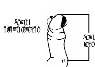 Figure 3. Thumb measurements 