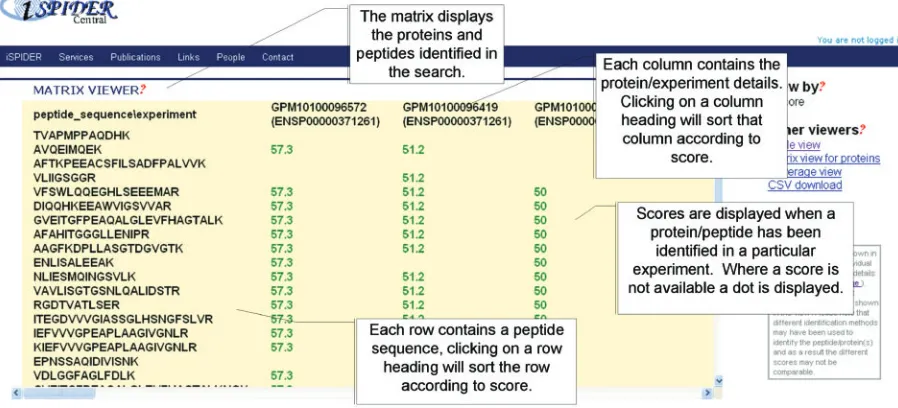 Figure 3. The ISPIDER Interactive matrix view. An example is shown displaying peptide identiﬁcations cross-referenced against their parent proteinsfrom a variety of experiments taken from repositories.