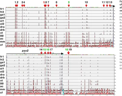 Fig. 1. Vista graphical output