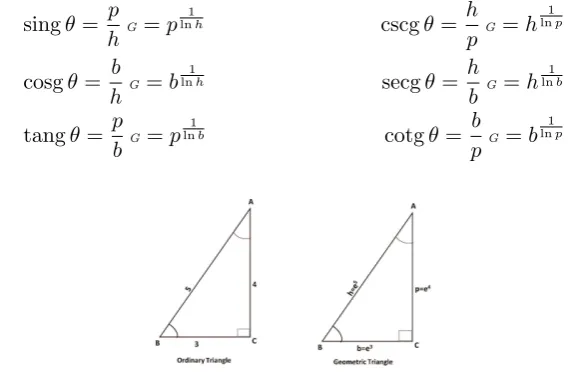 Figure 1. Geometric Co-ordinate System