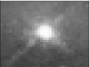 Figure 1: An image — an array or a matrix of pixels arranged in columns and rows 