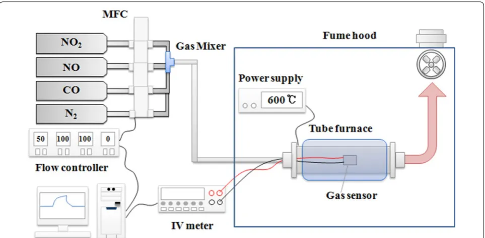 Fig. 2 Schematic diagram of experimental setup for measuring concentrations of gases