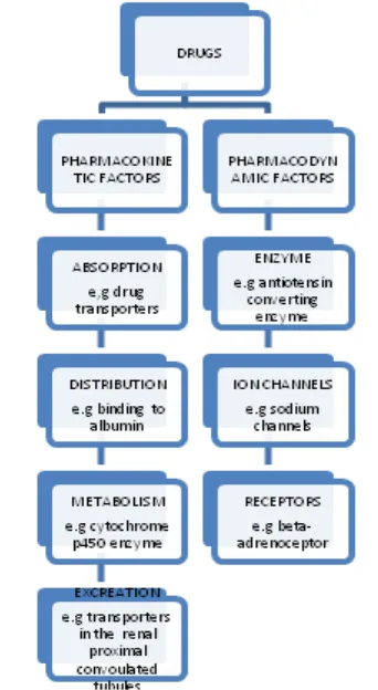 FIG.1: VARIATION IN THE DRUG RESPONSE CAN BE  DUE TO GENETICALLY DETERMINED FACTOR IN PHARMACOKINETIC AND PHARMACODYNAMIC