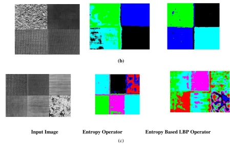 Figure 3 Unsupervised Texture Segmentation of Brodatz Images using Entropy based LBP method with K-Means Clustering 