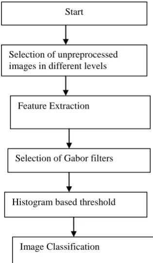 FIGURE 5: Original mammogram suspicious images 