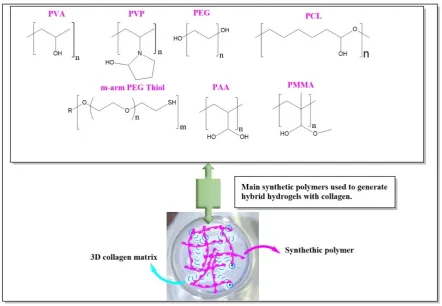 Figure 4. Synthesis of collagen based hydrogels coupled with synthetic polymers. 