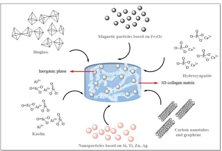 Figure 5. Design of collagen composite hydrogels using different inorganic phases. 