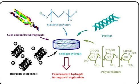 Figure 1. Diverse strategies to generate collagen-based hydrogels for applications in BTERM 