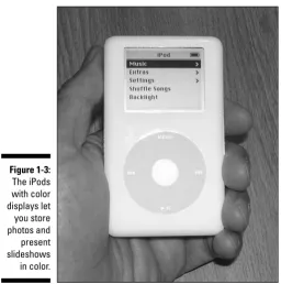 Figure 1-3:The iPods