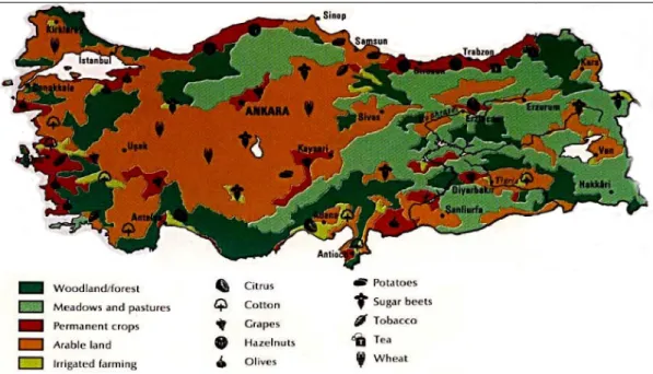 Figure 8:  Land-Use map of Turkey, modified from “atlas of the middle east” (www.lib.utexas.edu ) 