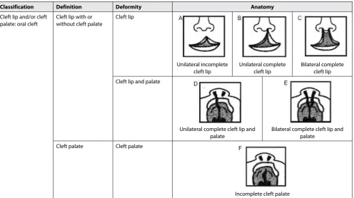 Figure 1. Classification of cleft deformities.