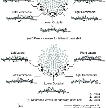 Figure 5 . Grand-average difference waveforms for (a) leftward gaze shift and (b) rightward gaze shift at channel groups included in the analyses in Experiment 1