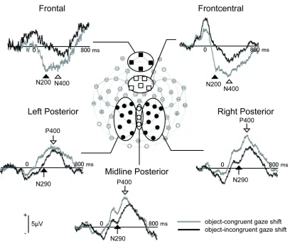 Figure 6 . Grand-average ERP waveforms at selected channel groups in Experiment 2.  