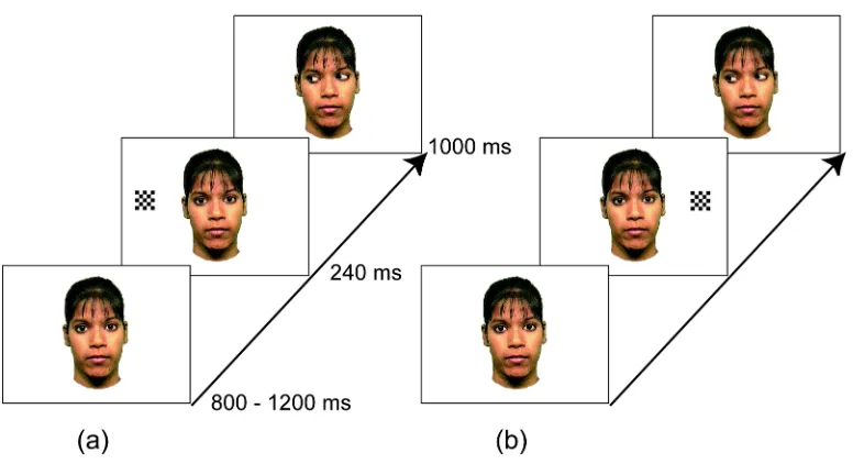 Figure 1 . Examples of stimulus sequences of (a) 'gaze-congruent' and (b) 'gaze-incongruent' trials in Experiment 1