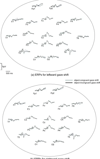 Figure 2 . Grand-average ERP waveforms for (a) leftward gaze shift and (b) rightward gaze shift at channels corresponding with 10-20 sites