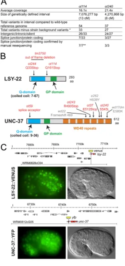 Fig. 2. Molecular identity of lsy-22Variants were considered as background if they were also found inother WGS datasets from the laboratory (see Materials and methods).**, 1/7 was found to be a heterozygous variant