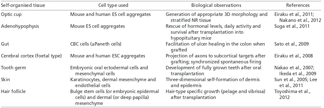 Table 1. Self-organisation of various tissues in culture