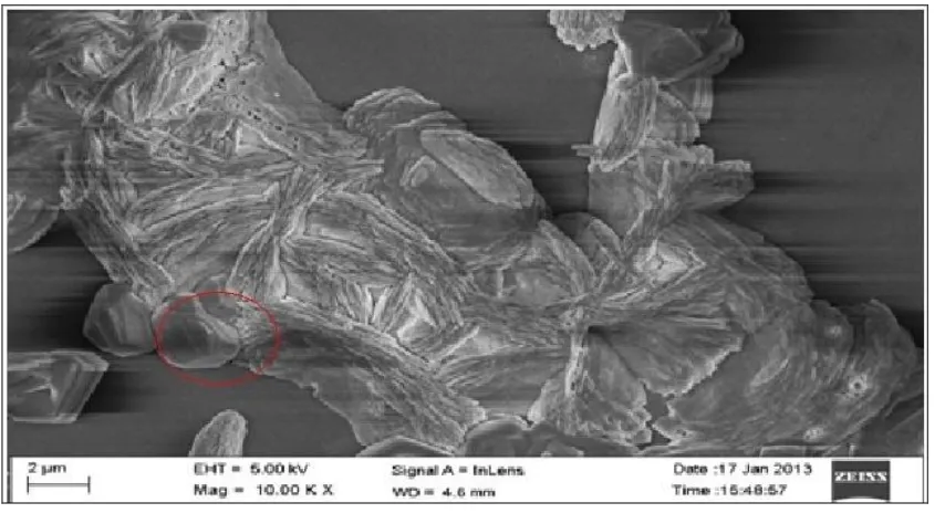 FIG.2: INH-NPS 