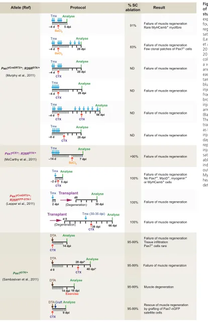 Fig. 4. Comparative analysis