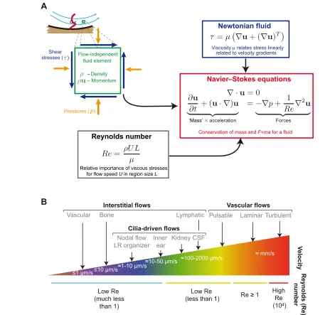 Fig. 1. The equations that govern fluid flow. (What results is, in essence, a statement of Newton’s Law moving and deforming fluid