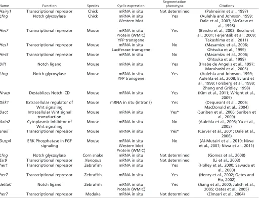 Table 1. Expression and genetics of cyclic (oscillating expression) segmentation clock genes
