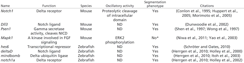 Table 2. Expression and genetics of non-cyclic segmentation clock genes