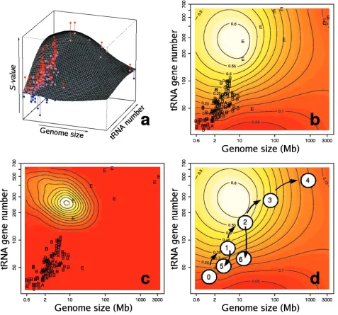 Figure 4. Action of natural selection on codon usage in the genomic landscape. (optimization