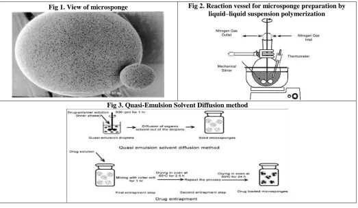 Fig 2. Reaction vessel for microsponge preparation by liquid–liquid suspension polymerization 