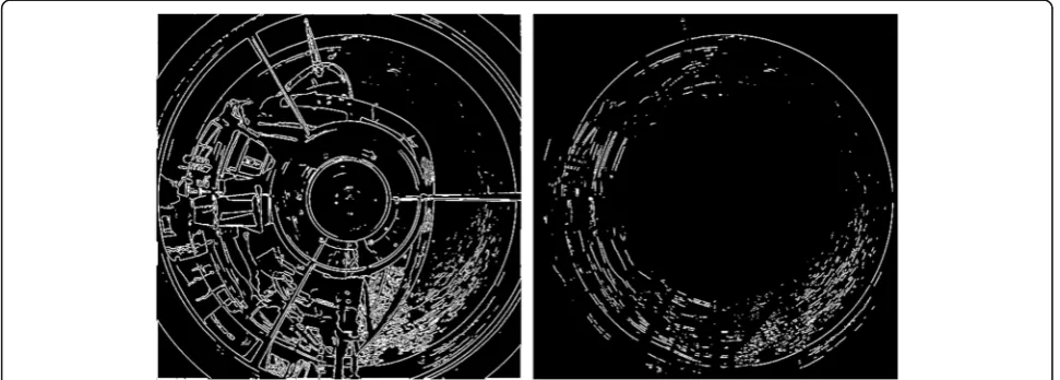 Fig. 3 Edge detection and filtering. The initial edge detection results (left) and the edge filtering results (right) obtained after performing theedge detection procedure