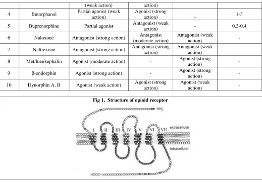 Fig 1.  Structure of opioid receptor 