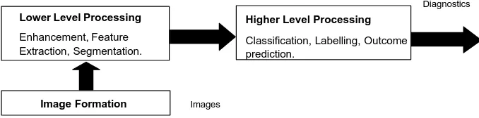 Figure 2. Model for diagnostic system that uses medical images. 