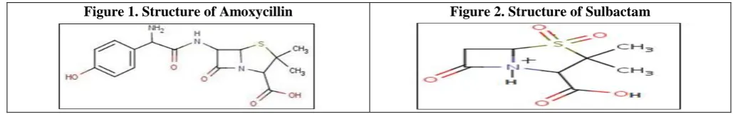 Figure 1. Structure of Amoxycillin 