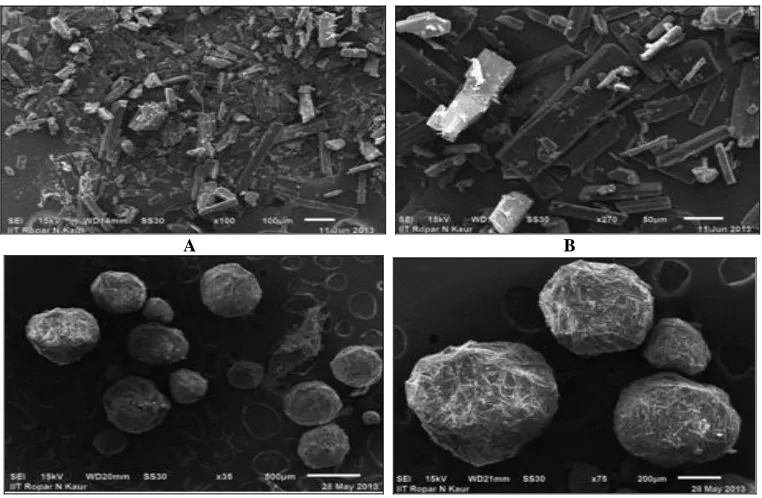 FIG. 1: DISSOLUTION PROFILE OF MICROSPHERES (BATCH P1 TO P4C) PREPARED BY O/W SOLVENT EVAPORATION METHOD IN 0.1N HCL