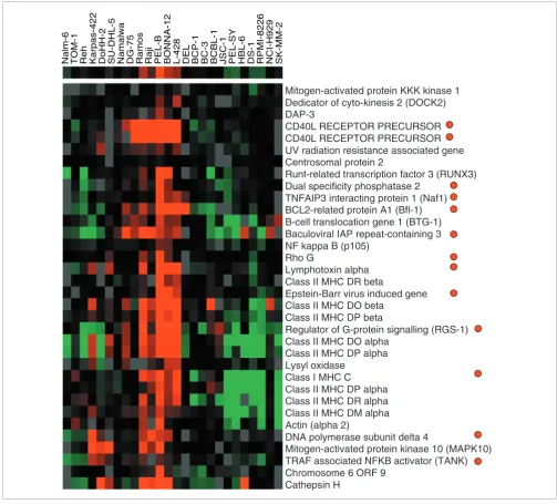 Figure 5and functional annotationVisualization of average linkage HC using the programs Cluster and Treeview [5] of the NF