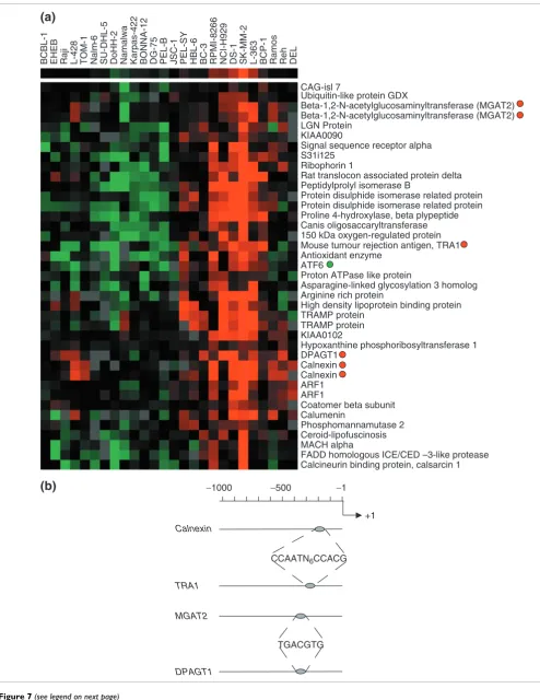 Figure 7 (see legend on next page)