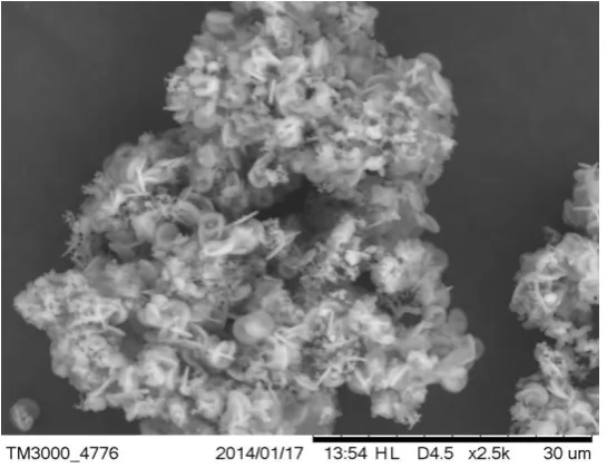 Figure 2: SEM micrograph of IPA templated Aluminophosphate zeolite 