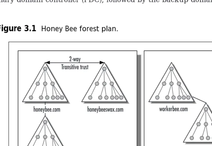 Figure 3.1 Honey Bee forest plan.