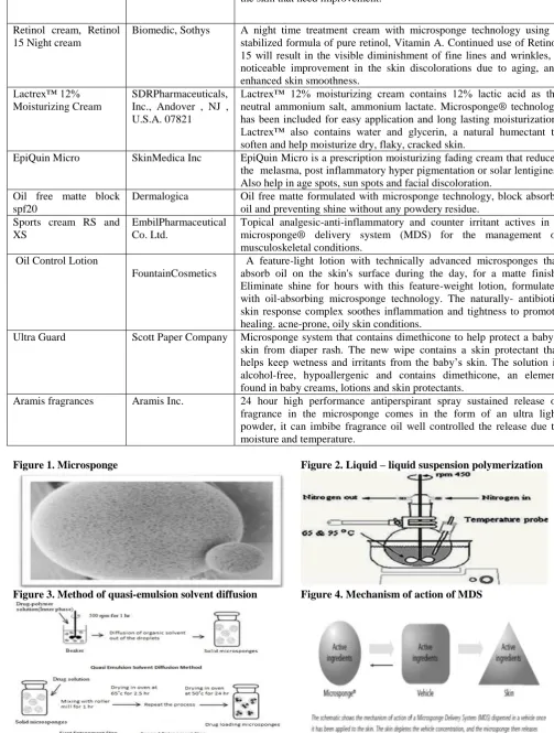 Figure 1. Microsponge 
